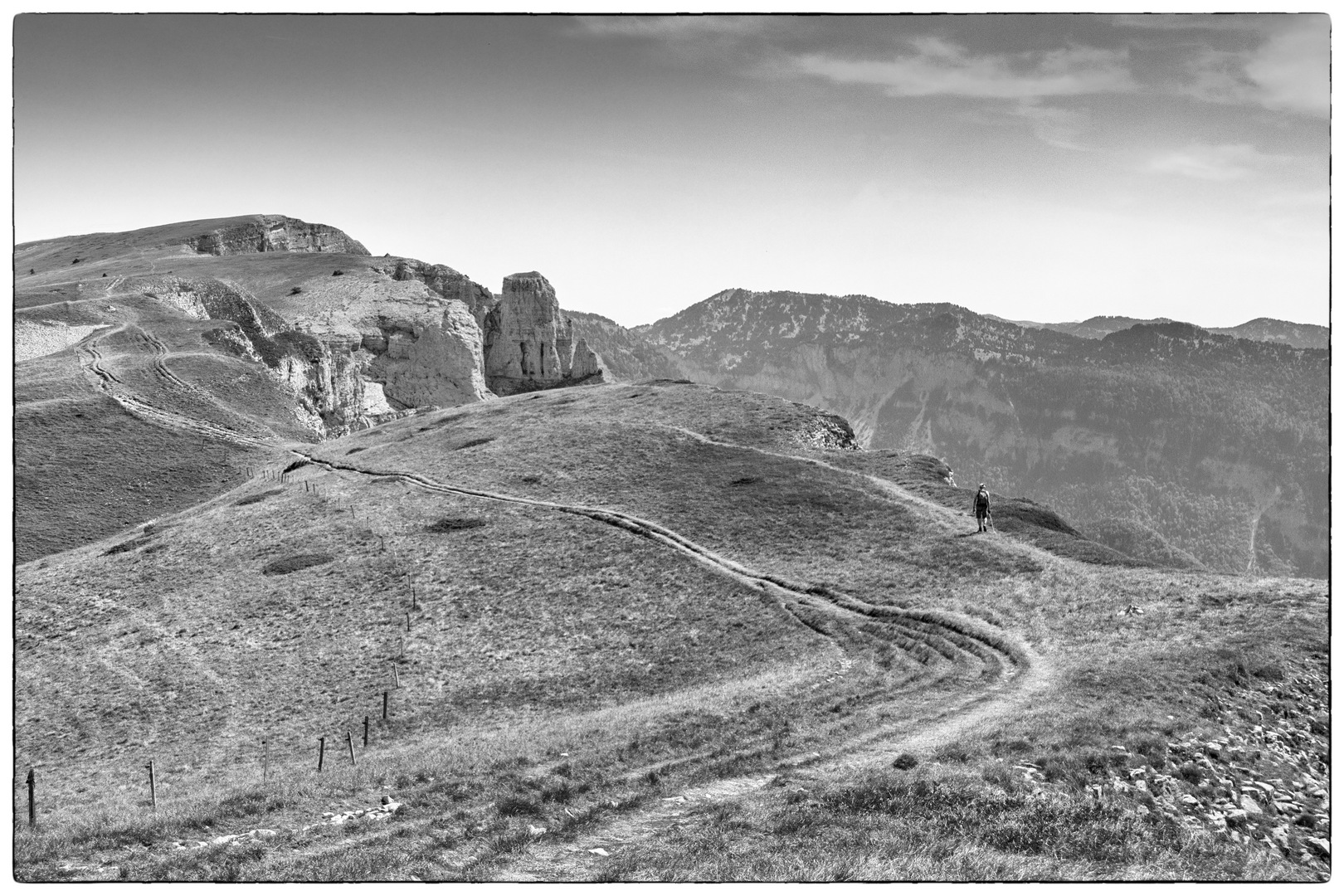 011 Silver efex Fine art met ro en ge verminderd